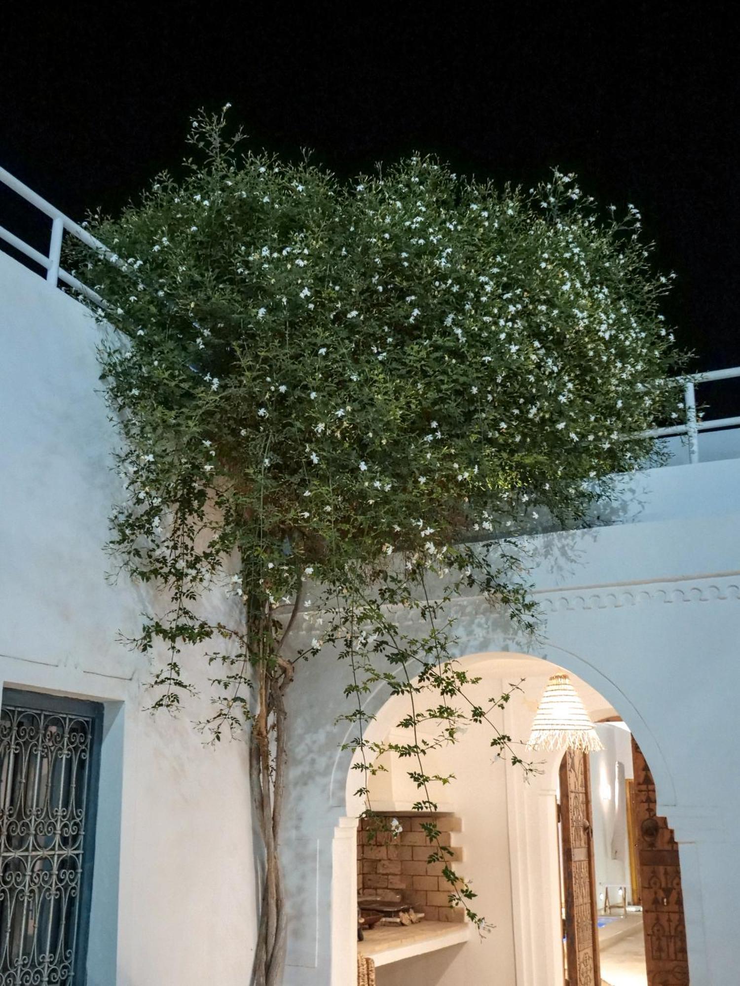 Bed and Breakfast Dar Ennour à Houmt Souk  Extérieur photo